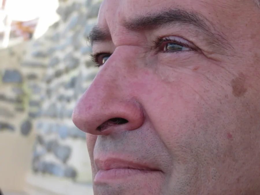 (DES)HONESTIDADE INTELECTUAL