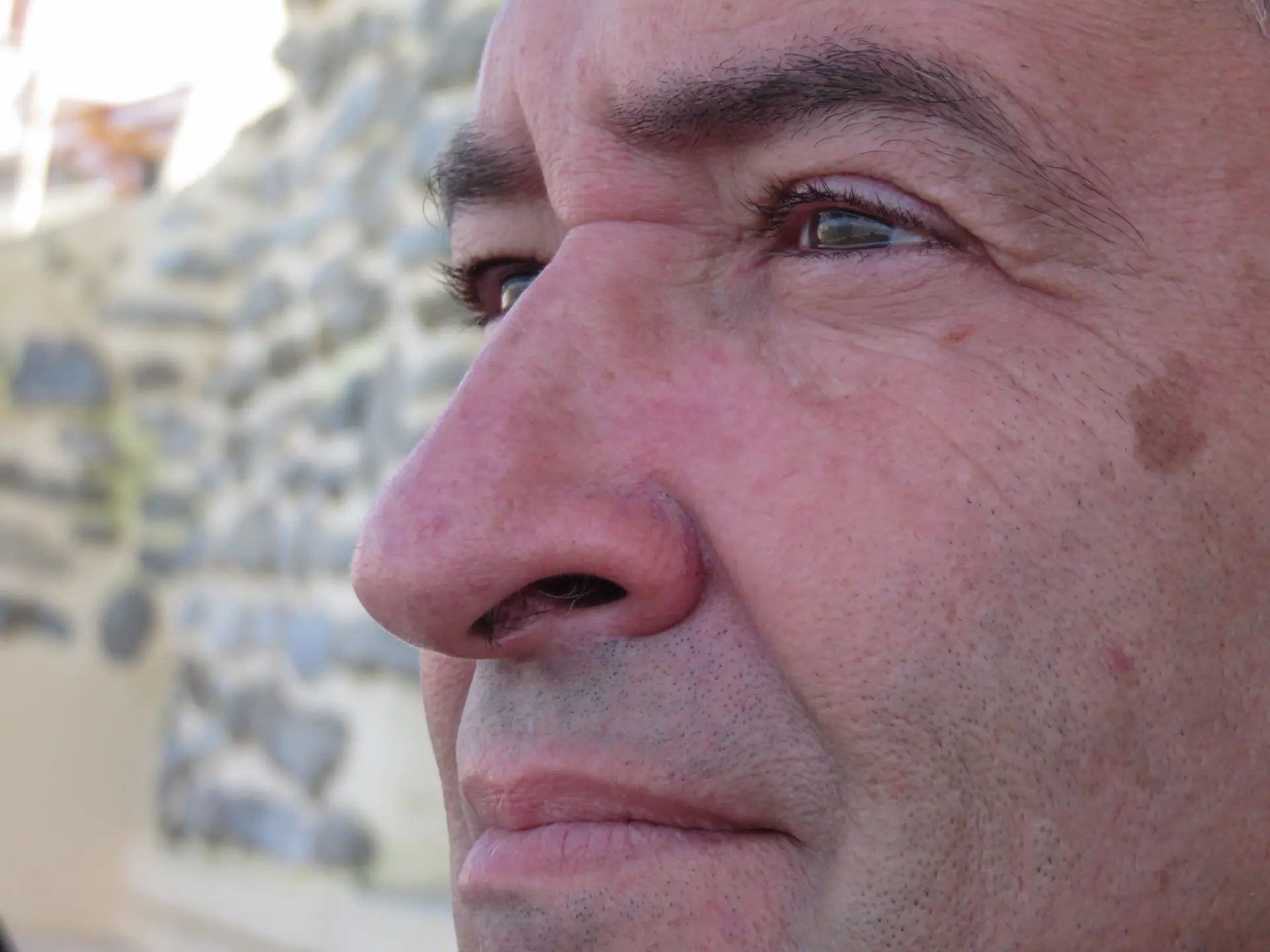 (DES)HONESTIDADE INTELECTUAL