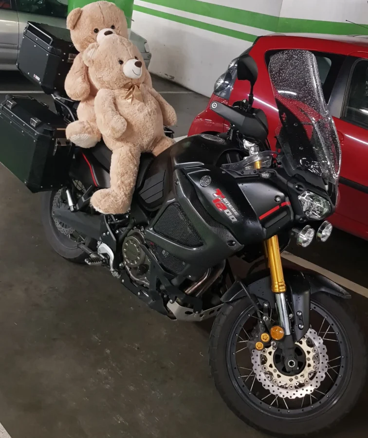 Mota, veículo para quê?