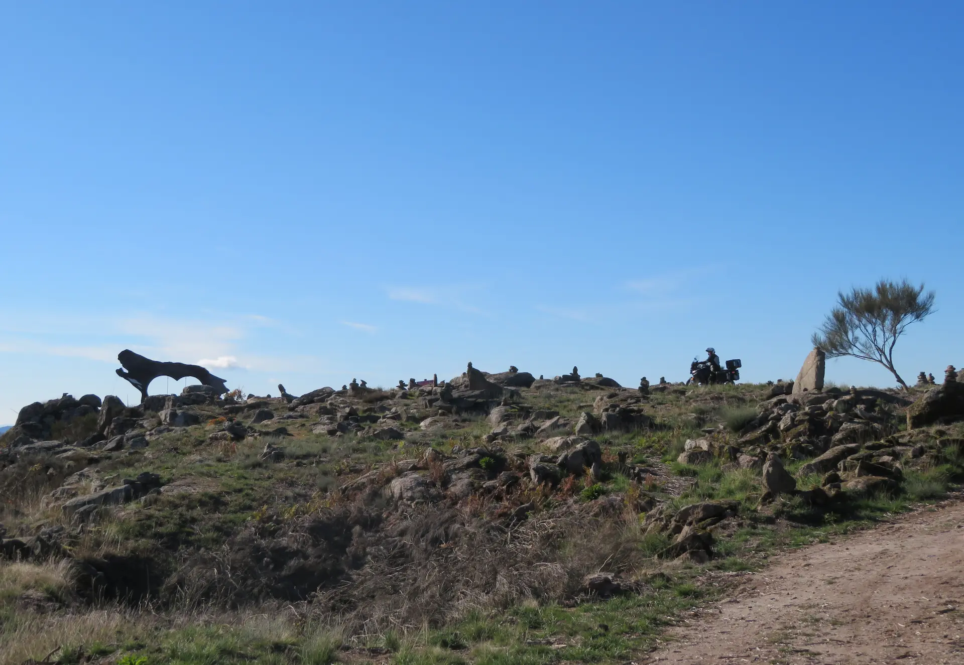 REFLEXÃO MOTOCICLISTA